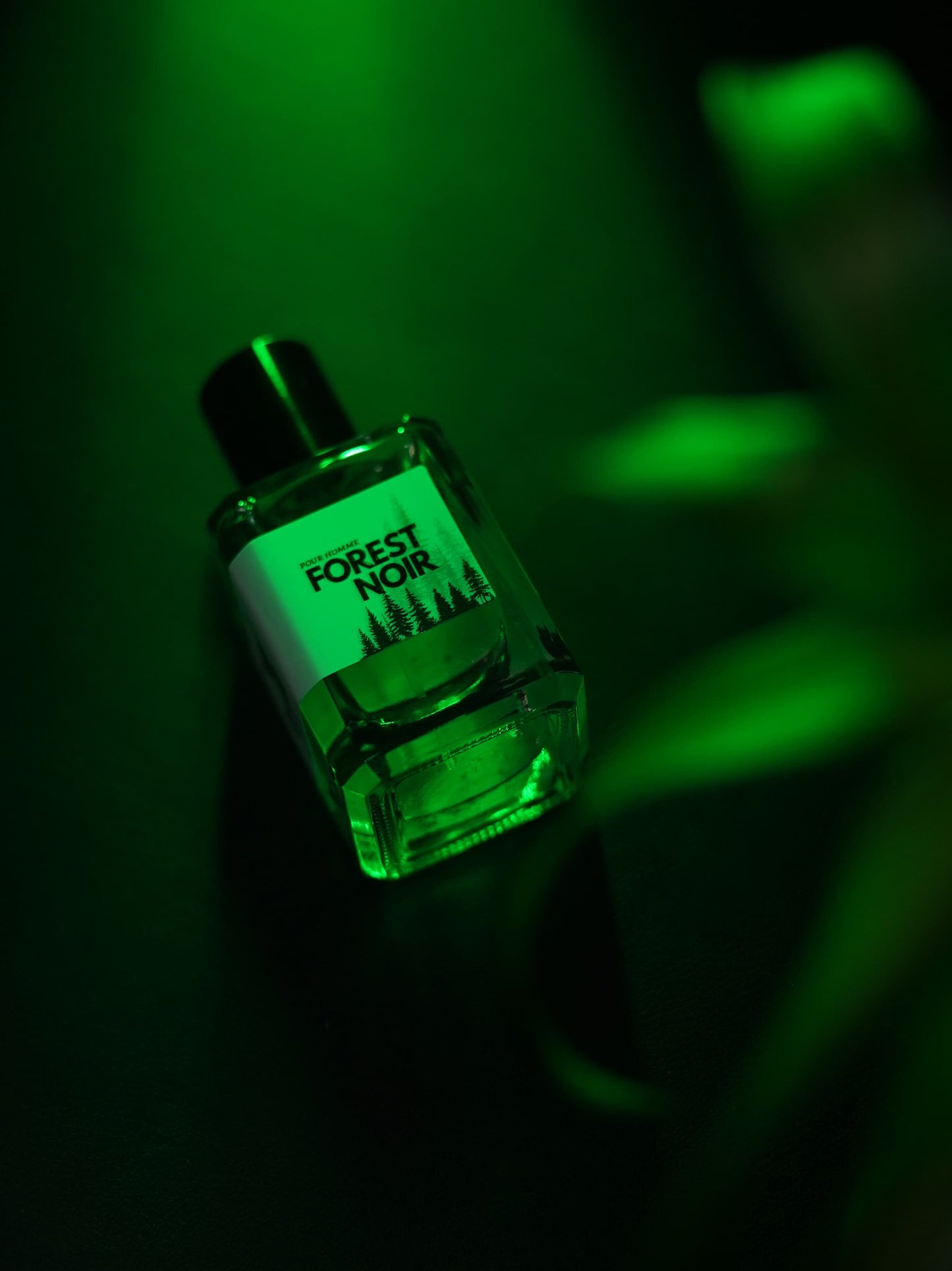 Forest Noir | Eau de Parfum – 50ml