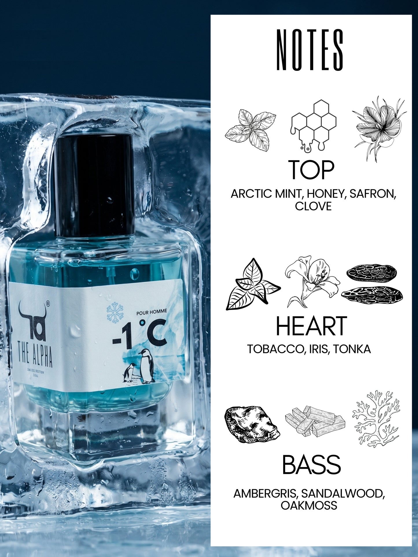-1°C | Eau de Parfum – 50ml