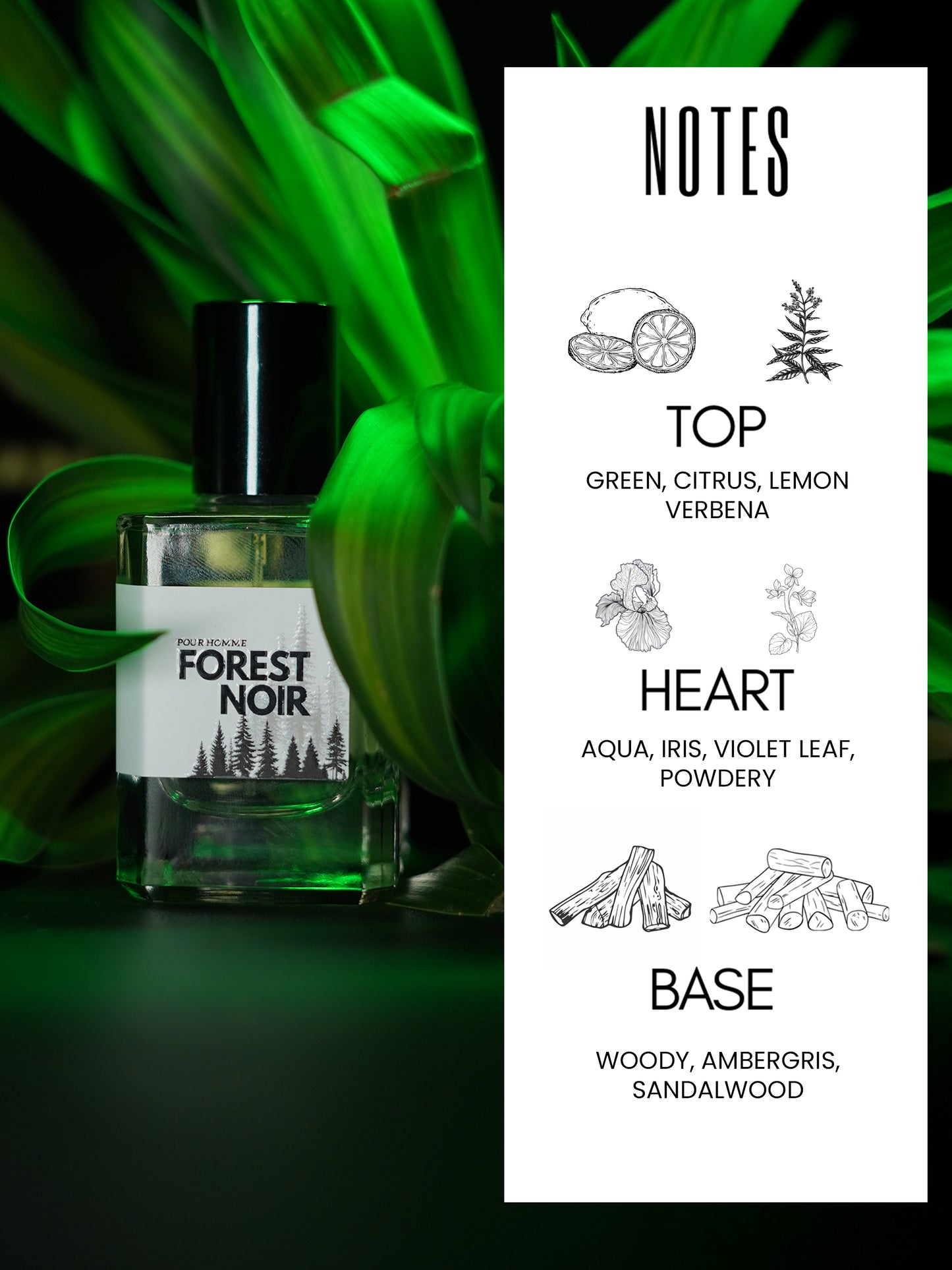 Forest Noir | Eau de Parfum – 50ml