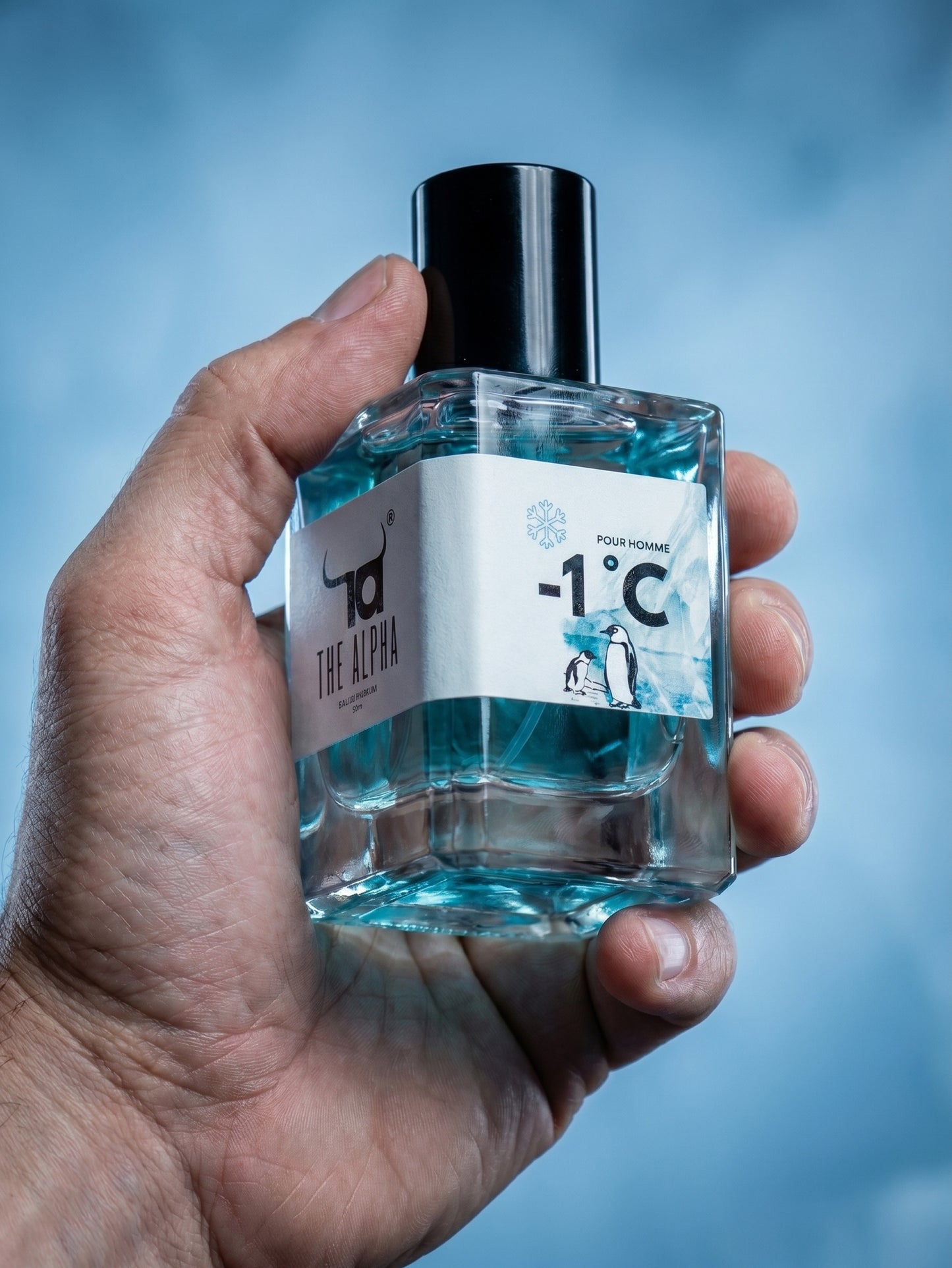 -1°C | Eau de Parfum – 50ml