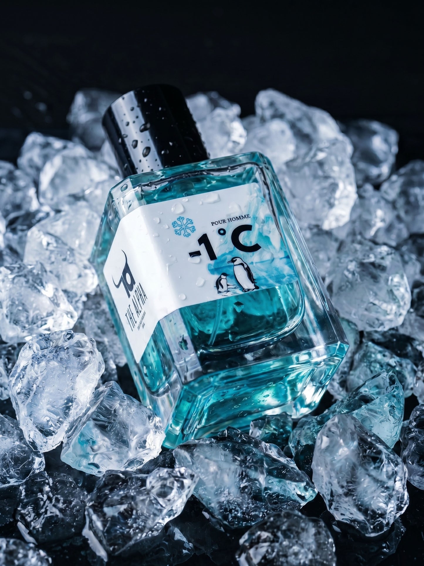 -1°C | Eau de Parfum – 50ml
