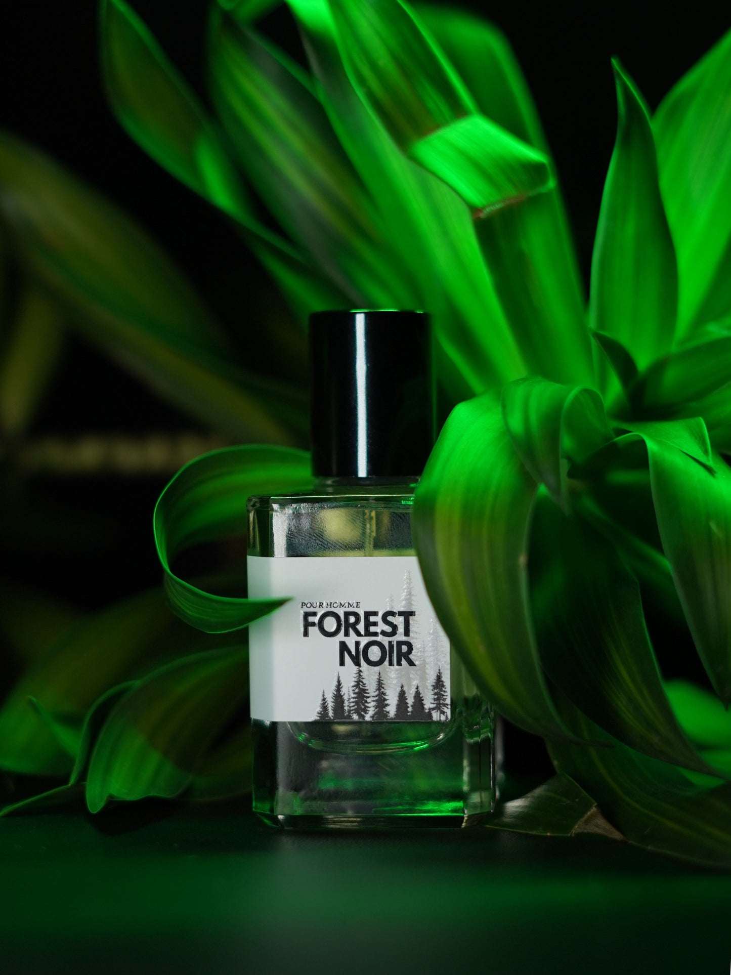 Forest Noir |  Eau de Parfum – 50ml